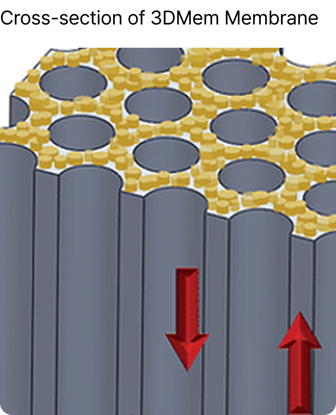 <a href="https://www.researchgate.net/figure/a-Schematic-illustration-of-the-plasmonic-AAO-nanotemplate-The-AAO-template-is-grown_fig7_284200047"     target="_blank"     rel="noopener noreferrer"     style="color: #6D7280; font-family: Pretendard;           font-size: 11px;           font-style: normal;           font-weight: 400;           line-height: 120%;            text-decoration-line: underline;           text-decoration-style: solid;           text-decoration-skip-ink: auto;           text-decoration-thickness: auto;           text-underline-offset: auto;           text-underline-position: from-font;           display: block;           text-align: left;">이미지 출처 보기</a>