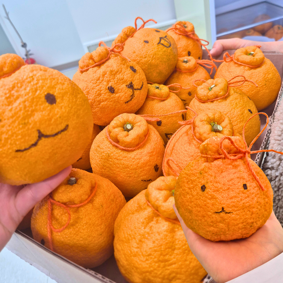 [원플러스] 대면 교육