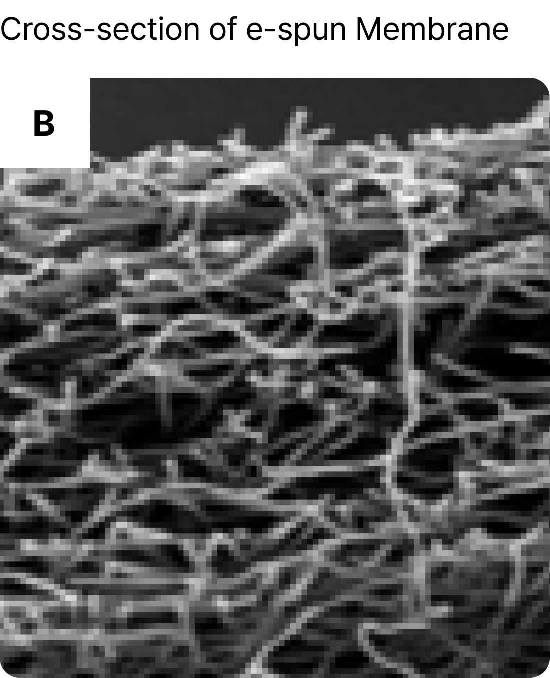 <a href="https://www.researchgate.net/figure/a-Schematic-illustration-of-the-plasmonic-AAO-nanotemplate-The-AAO-template-is-grown_fig7_284200047"     target="_blank"     rel="noopener noreferrer"     style="color: #6D7280; font-family: Pretendard;           font-size: 11px;           font-style: normal;           font-weight: 400;           line-height: 120%;            text-decoration-line: underline;           text-decoration-style: solid;           text-decoration-skip-ink: auto;           text-decoration-thickness: auto;           text-underline-offset: auto;           text-underline-position: from-font;           display: block;           text-align: left;">이미지 출처 보기</a>