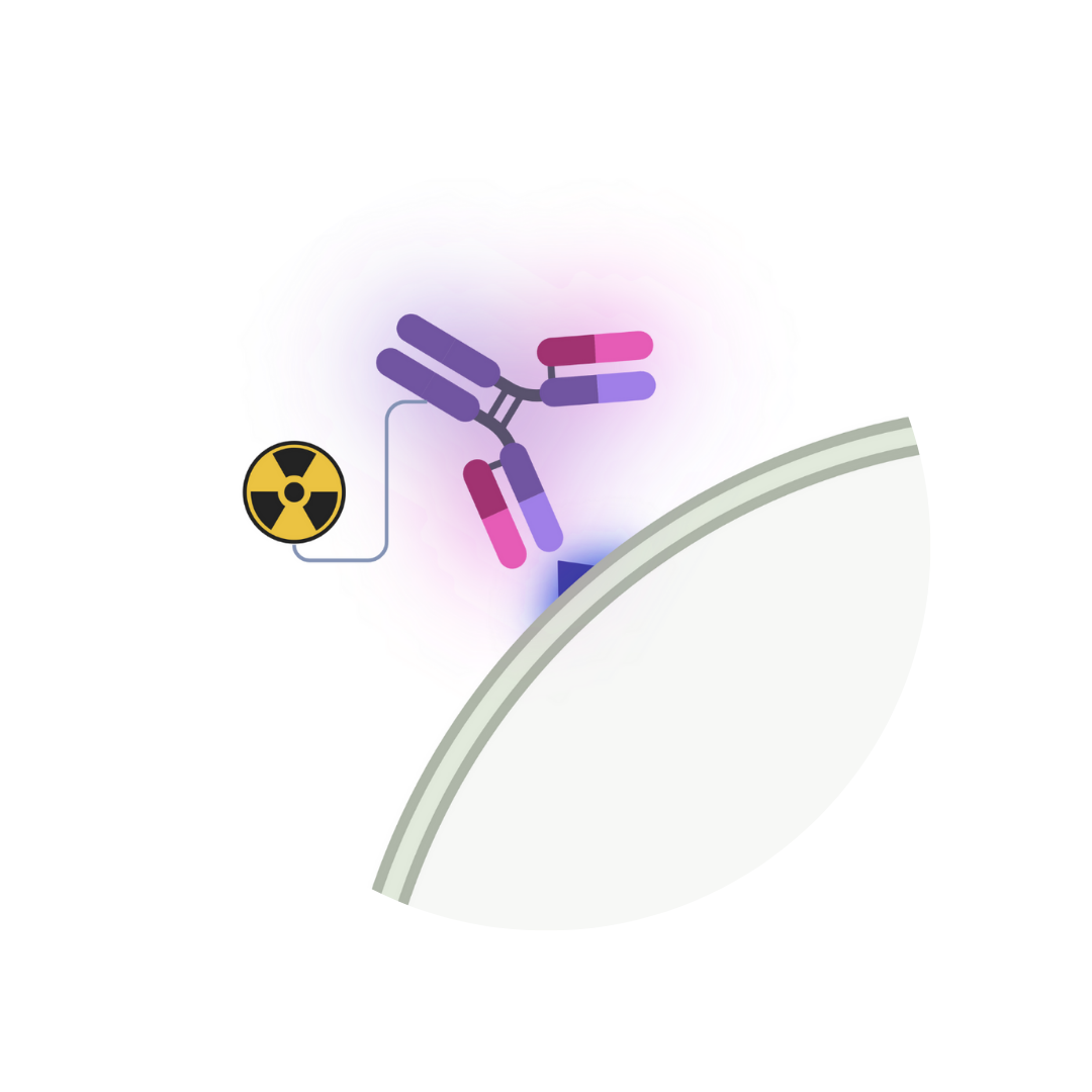 Radio-labeled Antibody