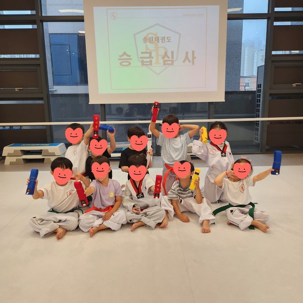 [경기 화성] 송린태권도장