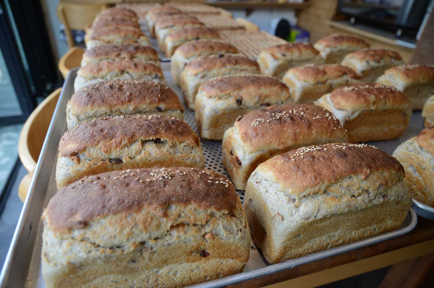 사진출처: 월간옥이네