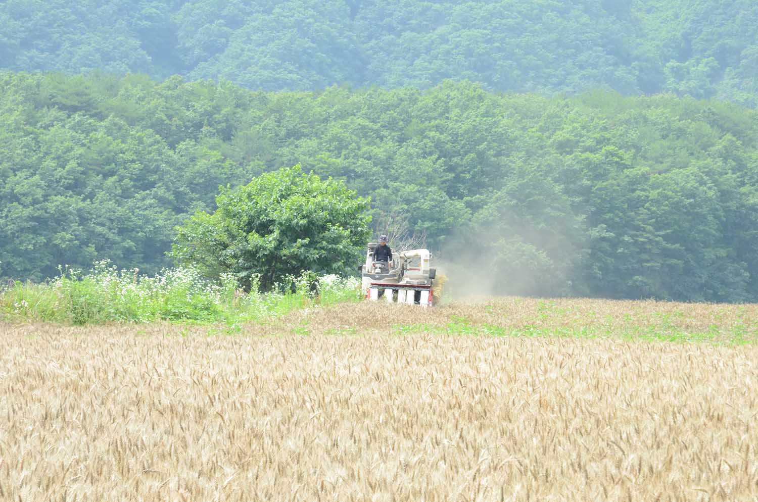 사진출처: 월간옥이네