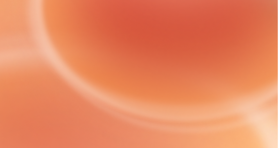 <strong>Solution</strong>