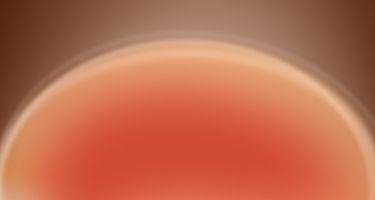 <strong>Contact</strong>