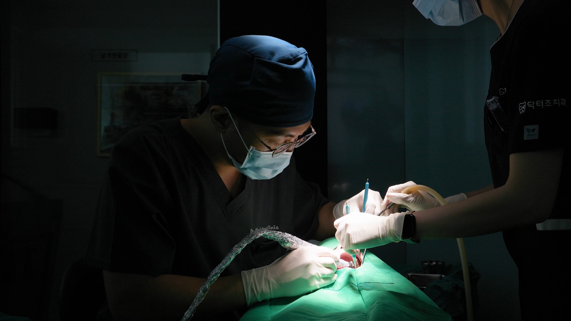 닥터조치과의원