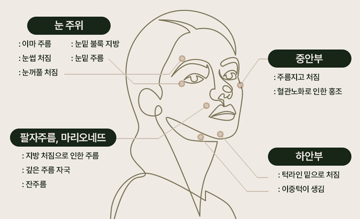 얼굴 부위의 각 노화 형태