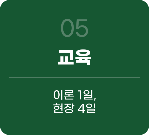 교육