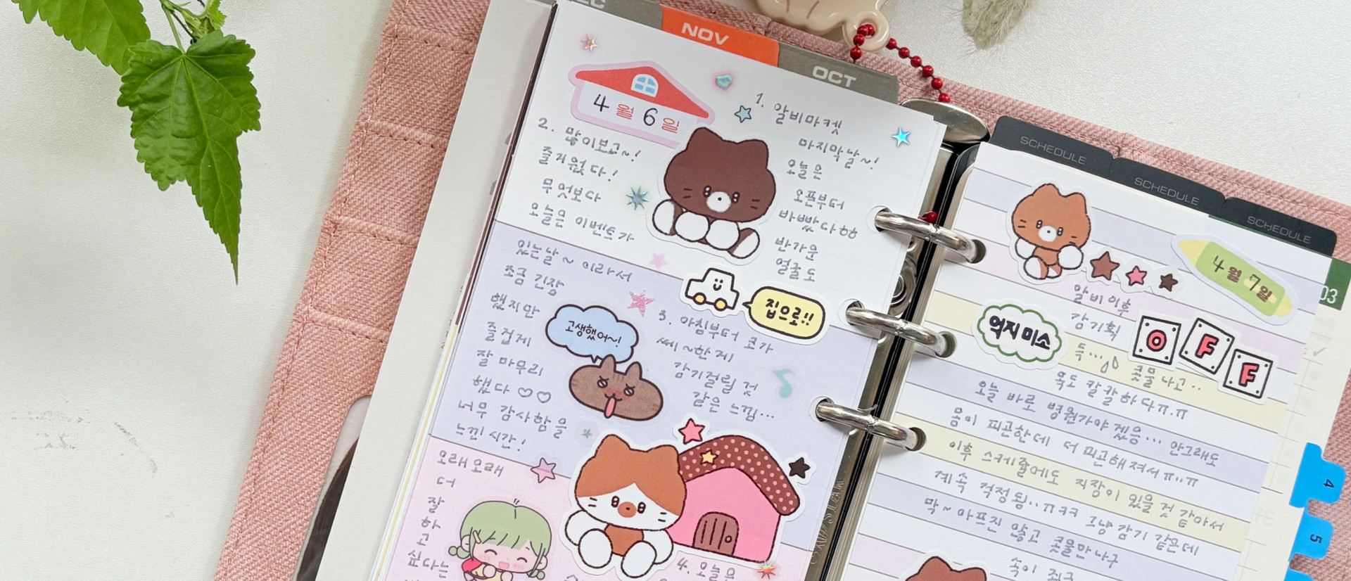 하프 바인더