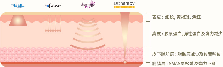 因为衰老是在皮肤的多个层次中同时进行的。