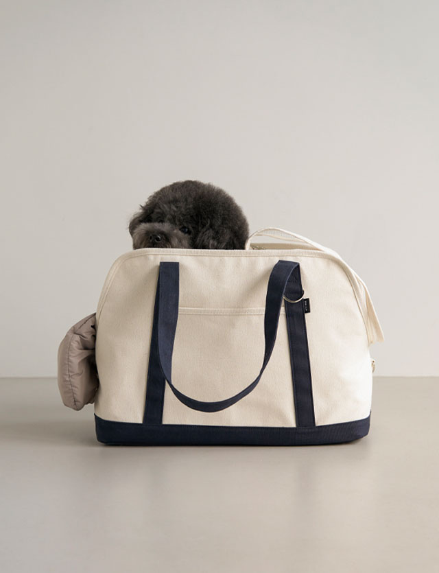 <p style="text-align: left;">Bag</p>