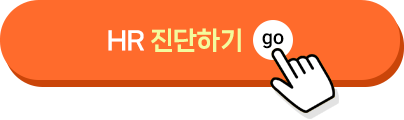 HR 진단하기