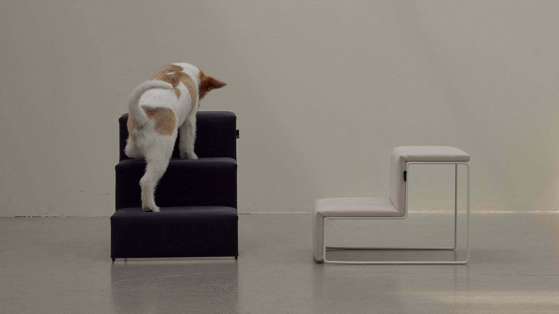 Daily use, timeless design.