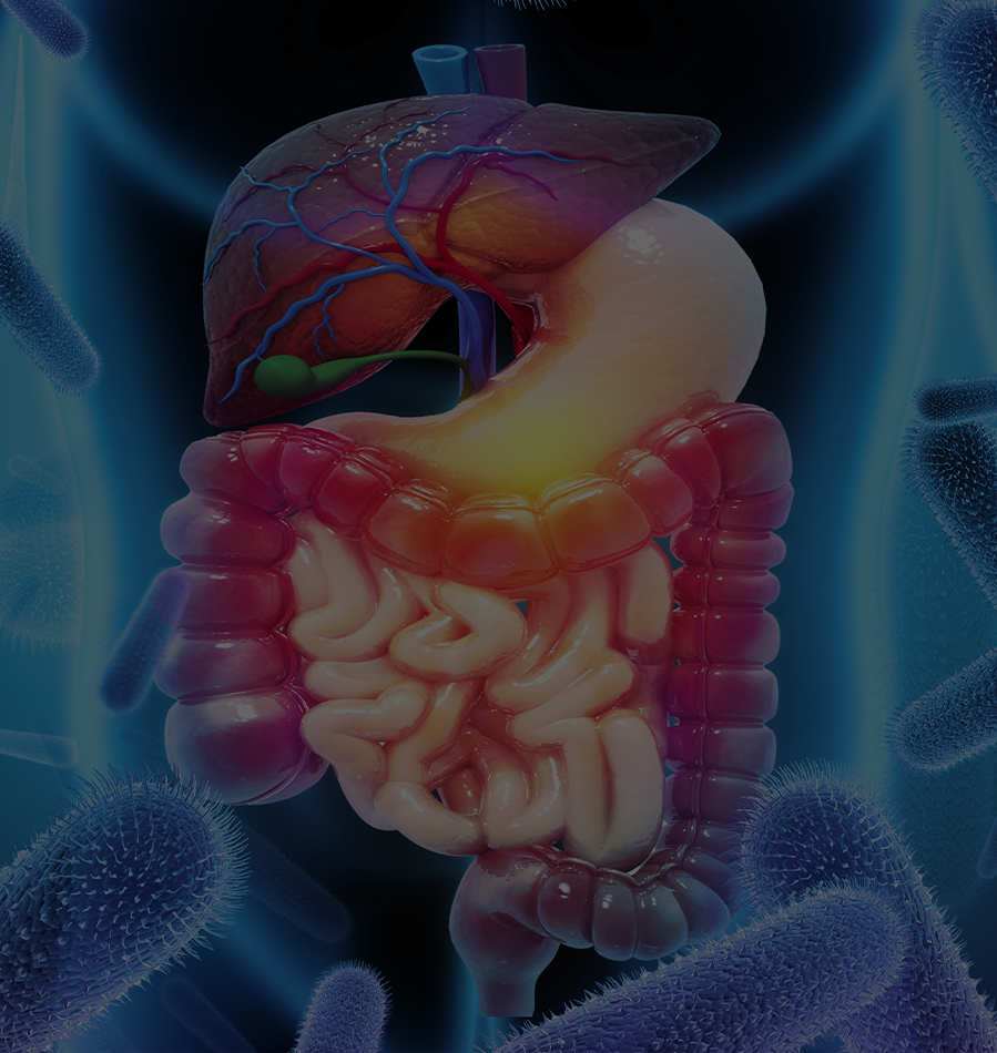 Lolen Shampoo<br>Cras fermentum odio eu.<br><br><br> 15,900won