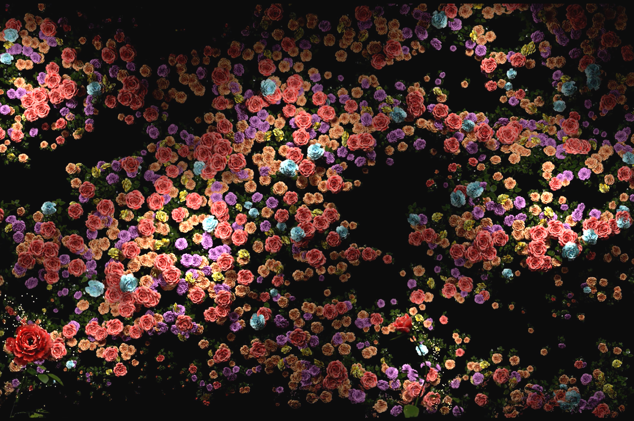 <span style="font-weight: bolder; letter-spacing: 0.5px; color: white; text-shadow: 0.7px 0.7px rgba(0, 0, 0, 0.2)"> FOREST OF LIFE </span>