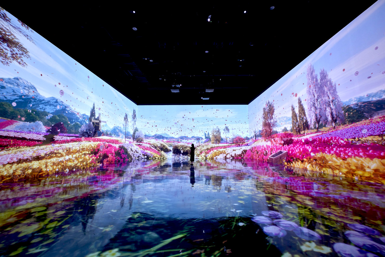 <span style="font-weight: bolder; letter-spacing: 0.5px; color: white; text-shadow: 0.7px 0.7px rgba(0, 0, 0, 0.2)"> THE NATURE, , MUSEUM HEI </span>