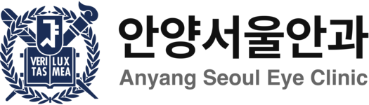 안양서울안과