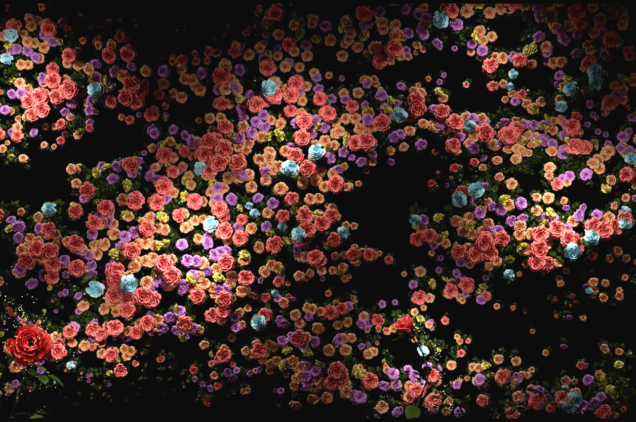 <span style="font-weight: bolder; letter-spacing: 0.5px; color: white; text-shadow: 0.7px 0.7px rgba(0, 0, 0, 0.1)"> FOREST OF LIFE </span>