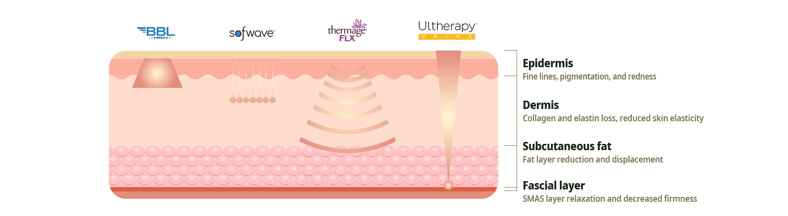 Because aging occurs in every layer of the skin
