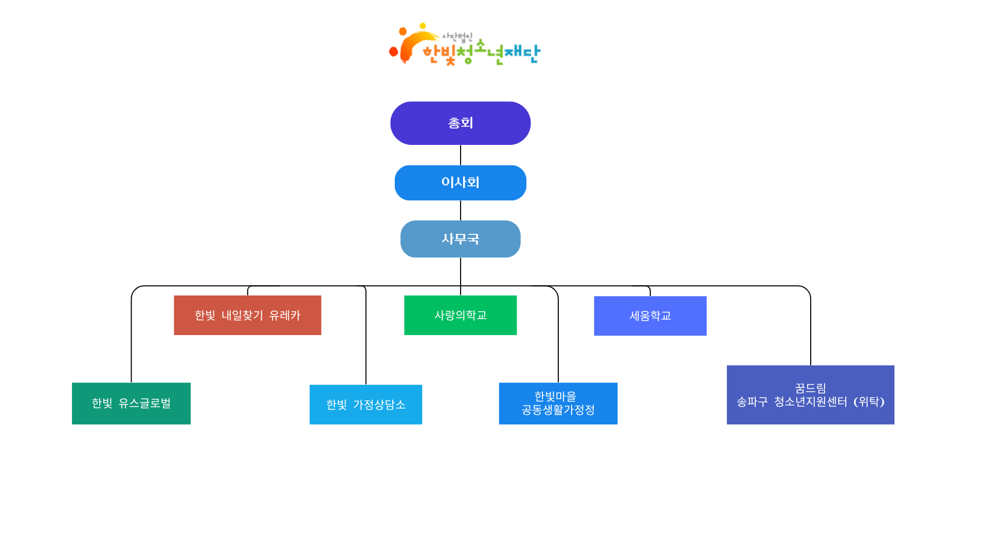 사단법인 한빛청소년재단 조직도 