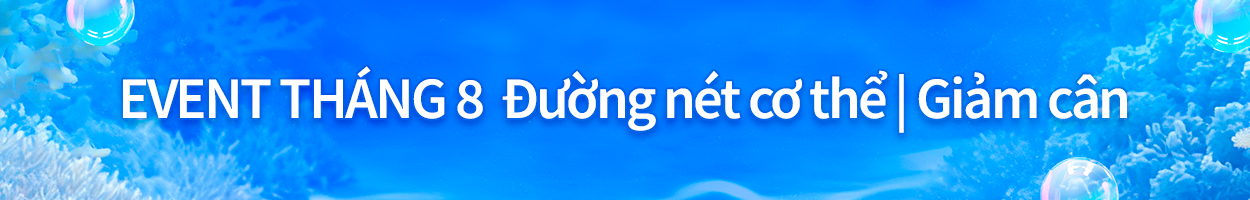 Không gồm VAT
