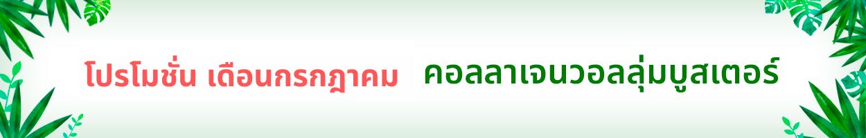 ยังไม่รวม VAT