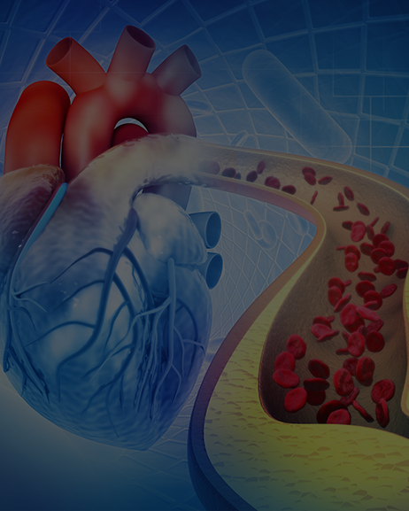 <p style="text-align:left; font-size:16px; margin-top:26px;">VITAE TELLUS IN<br><span style="color:#666;">₩ 80,000</span></p>