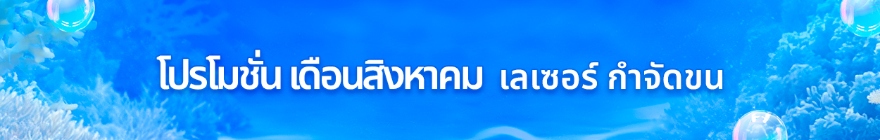 ยังไม่รวม VAT