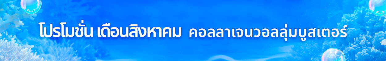 ยังไม่รวม VAT