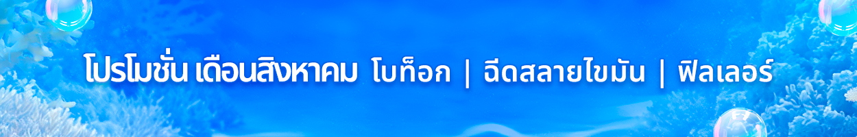 ยังไม่รวม VAT