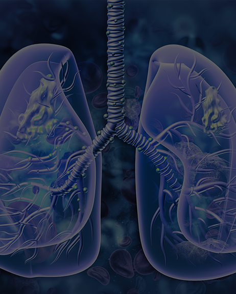 <p style="text-align:left; font-size:16px; margin-top:26px;">POCELAIN<br><span style="color:#666;">₩ 60,000</span></p>