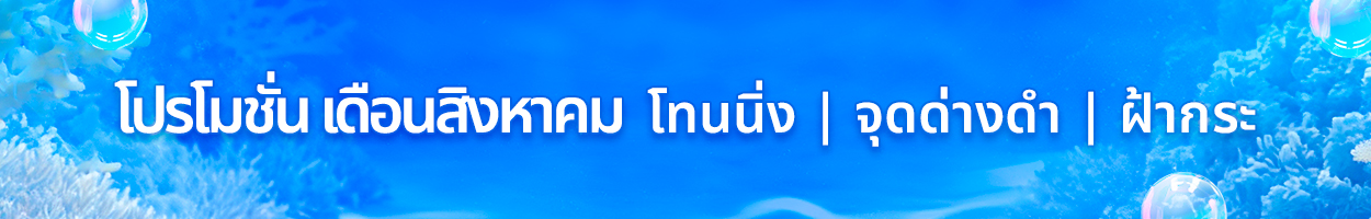 ยังไม่รวม VAT