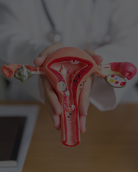 <p style="text-align:left; font-size:16px; margin-top:26px;">VITAE TELLUS IN<br><span style="color:#666;">₩ 80,000</span></p>