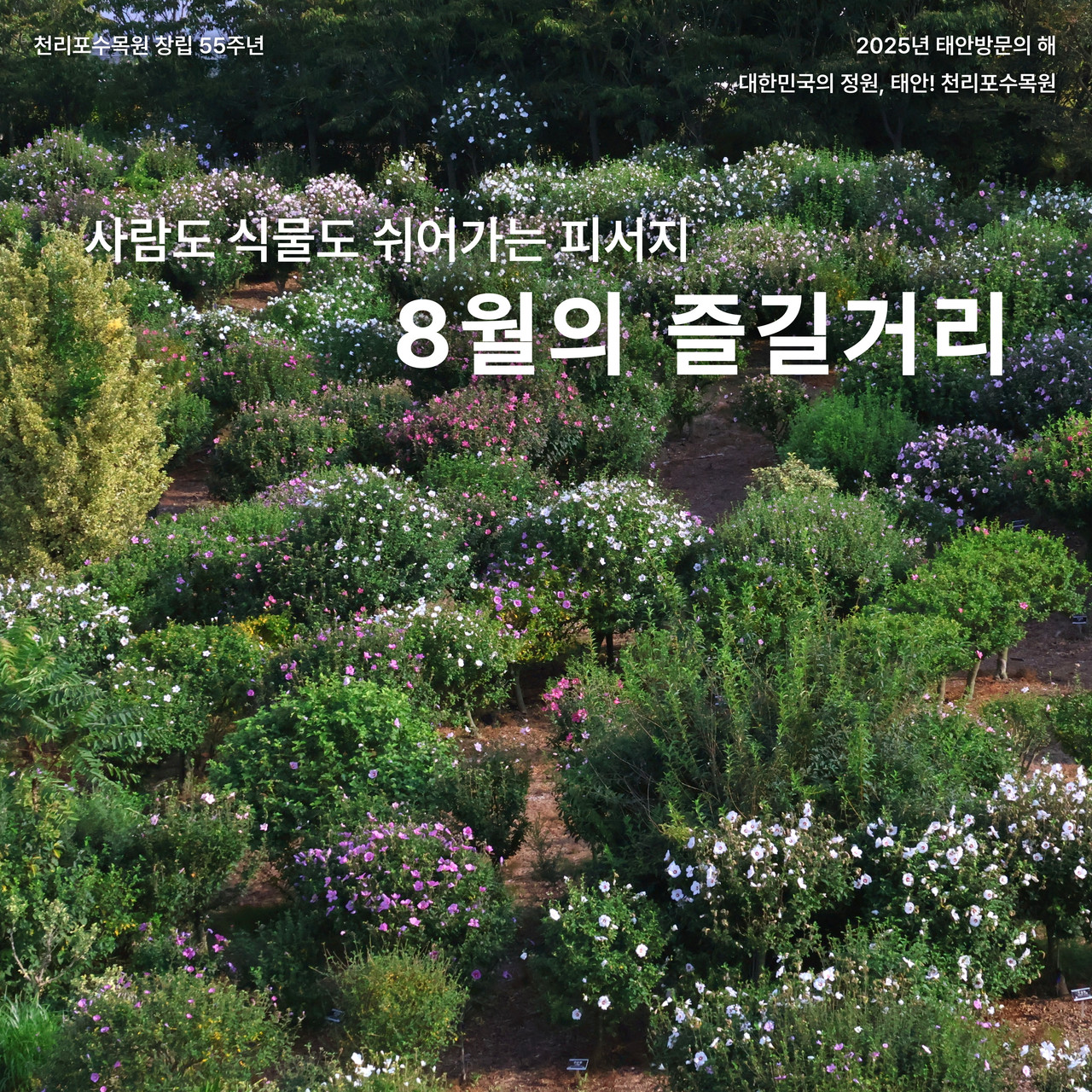 예약링크