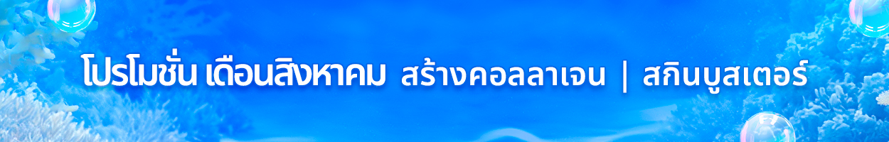 ยังไม่รวม VAT