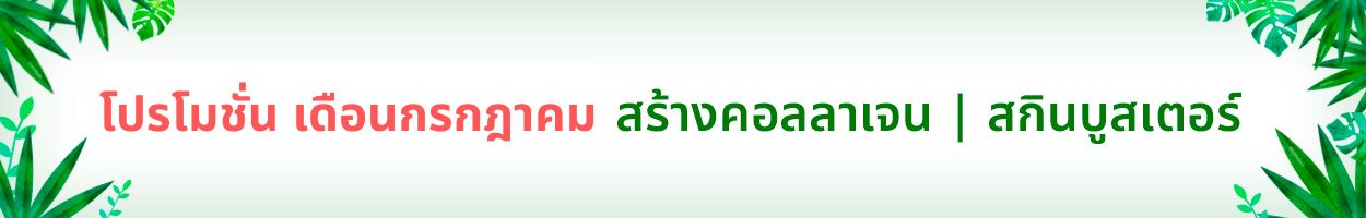 ยังไม่รวม VAT