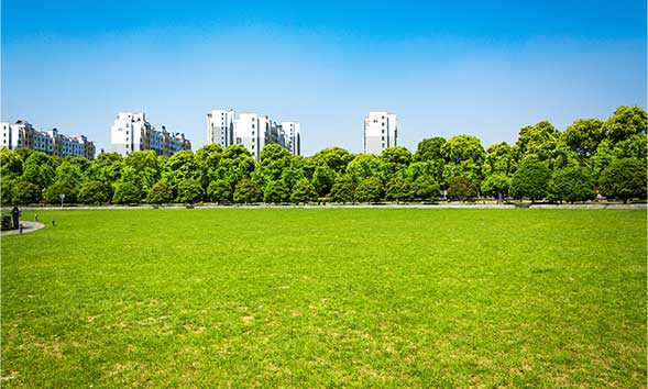 친환경 에코특권