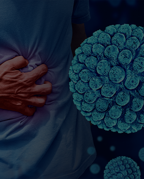 <p style="text-align:left; font-size:16px; margin-top:26px;">WHITE PLATES<br><span style="color:#666;">₩ 50,000</span></p>