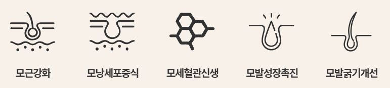 줄기세포 탈모주사의 효과: 모근강화 모낭세포증식 모세혈관신생, 모발성장촉진 모발 굵기개선