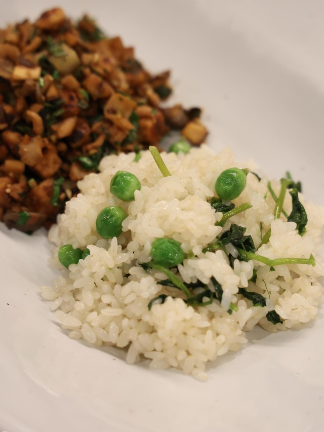 <p style="text-align:left; font-size:16px; margin-top:26px;">WHITE PLATES<br><span style="color:#666;">₩ 50,000</span></p>