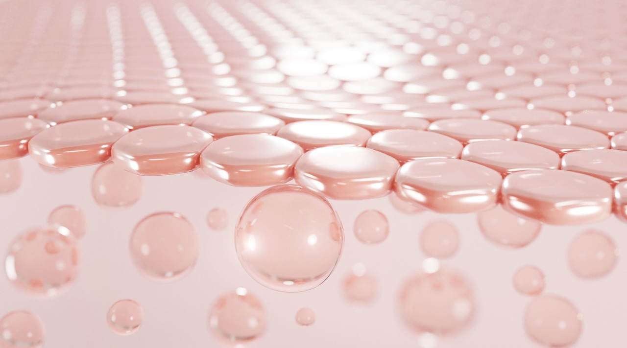 프레쉬서트 수산가공품 인증 - 어묵, 새우, 계맛살 등 수산가공식품 원재료의 신선도와 위생 기준 관리