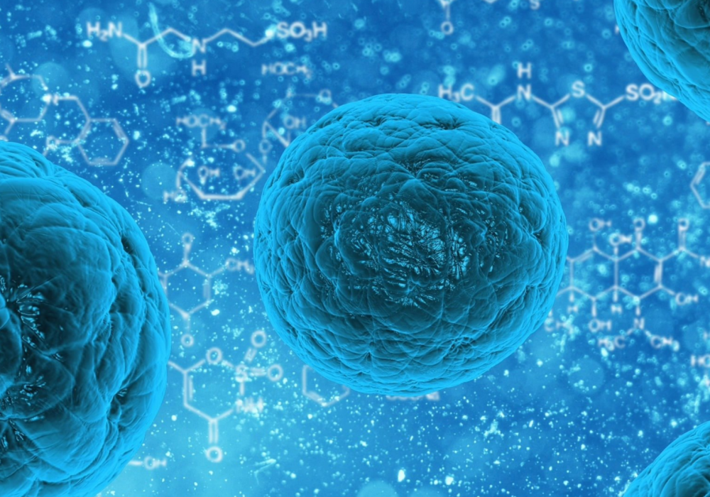 줄기세포의 호밍효과: 줄기세포는 혈관벽에 부착해 혈관 밖으로 빠져나가고 손상된 조직으로 모여들어 재생과 치유를 돕습니다.