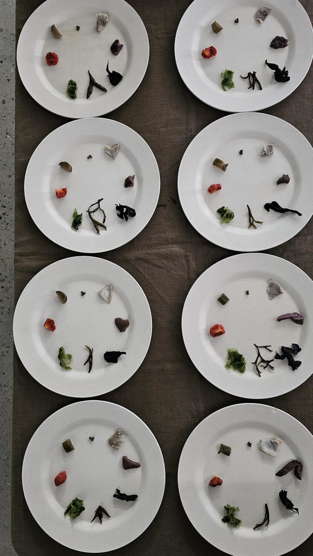 <p style="text-align:left; font-size:16px; margin-top:26px;">RAKU CLAY<br><span style="color:#666;">₩ 120,000</span></p>