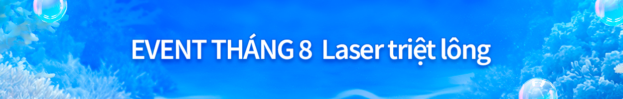 Không gồm VAT