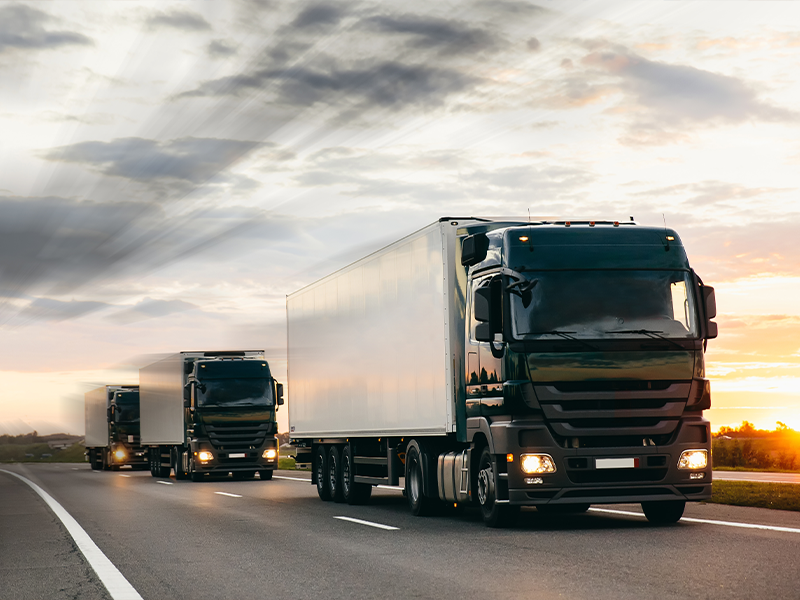 명도물류 기업물류 진행