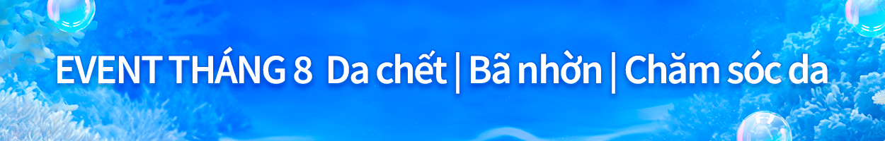 Không gồm VAT