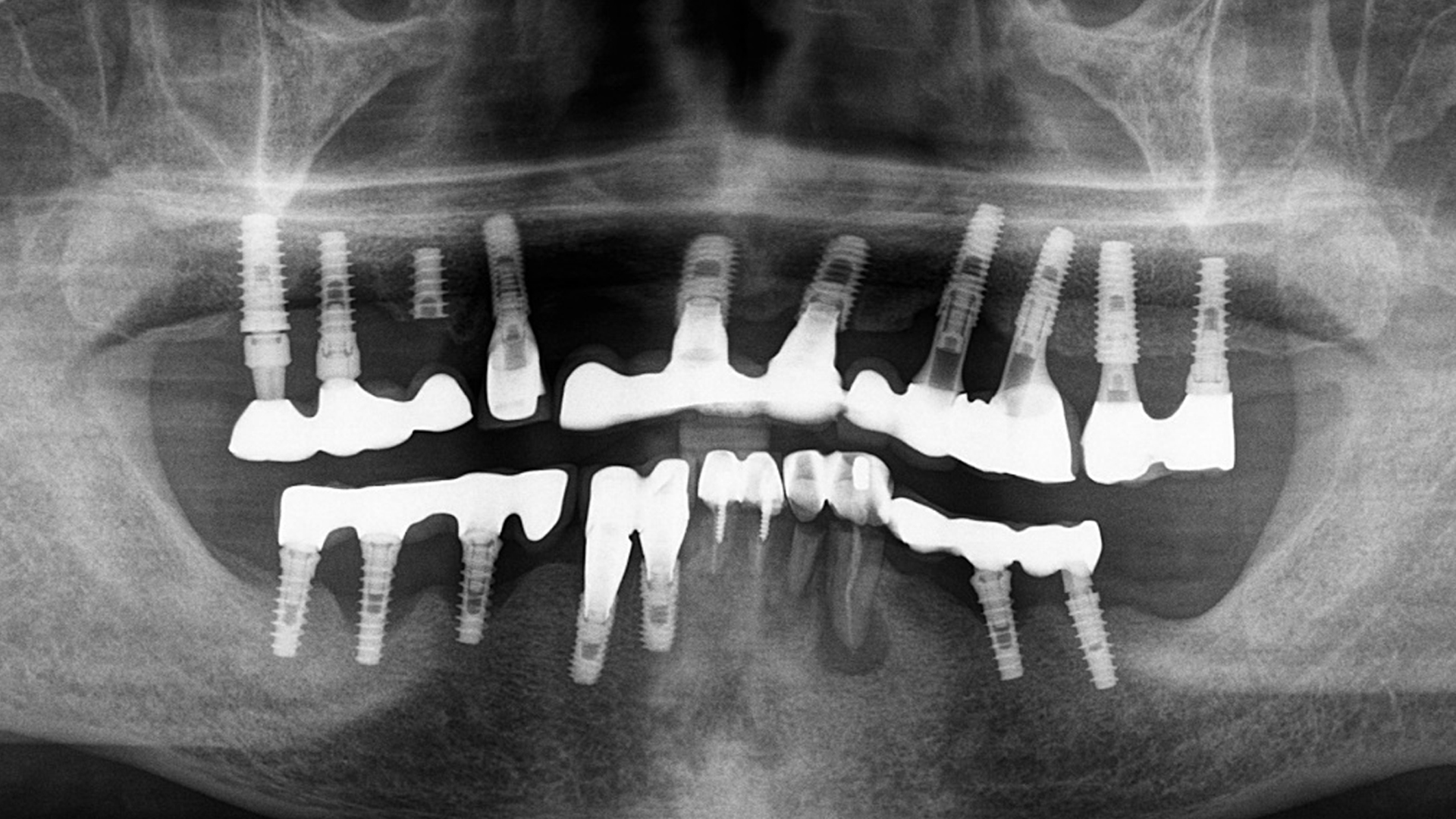 닥터조치과의원