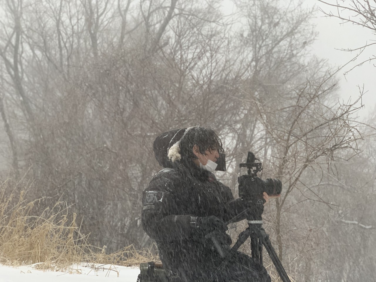 김지룡 Kim Ji-Ryong