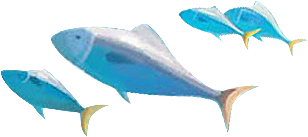 Long Ago on a Silent Night