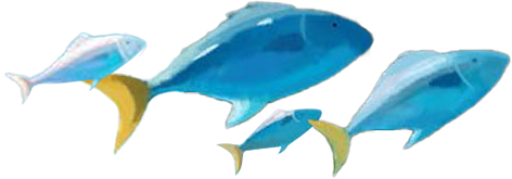 Long Ago on a Silent Night